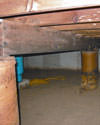 Mold and rot thriving in a dirt floor crawl space in Regina