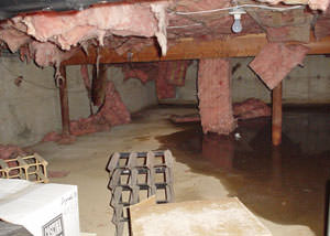 fiberglass insulation dripping off the ceiling of a crawl space in Esterhazy.