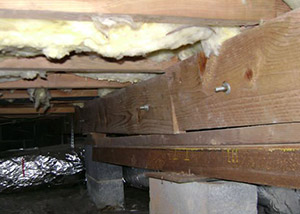 sagging crawl space with wooden shimming a Souris  crawl space