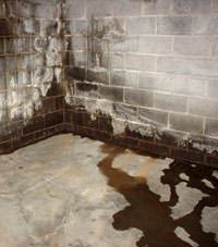 Water seeping through a concrete wall in a Grunthal basement