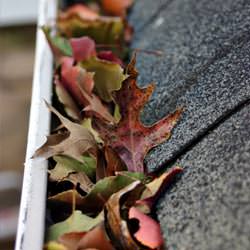 Clogged gutters filled with fall leaves  in Regina