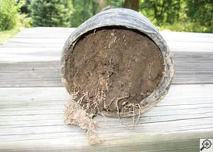 clogged french drain found in Estevan, Saskatchewan and Manitoba
